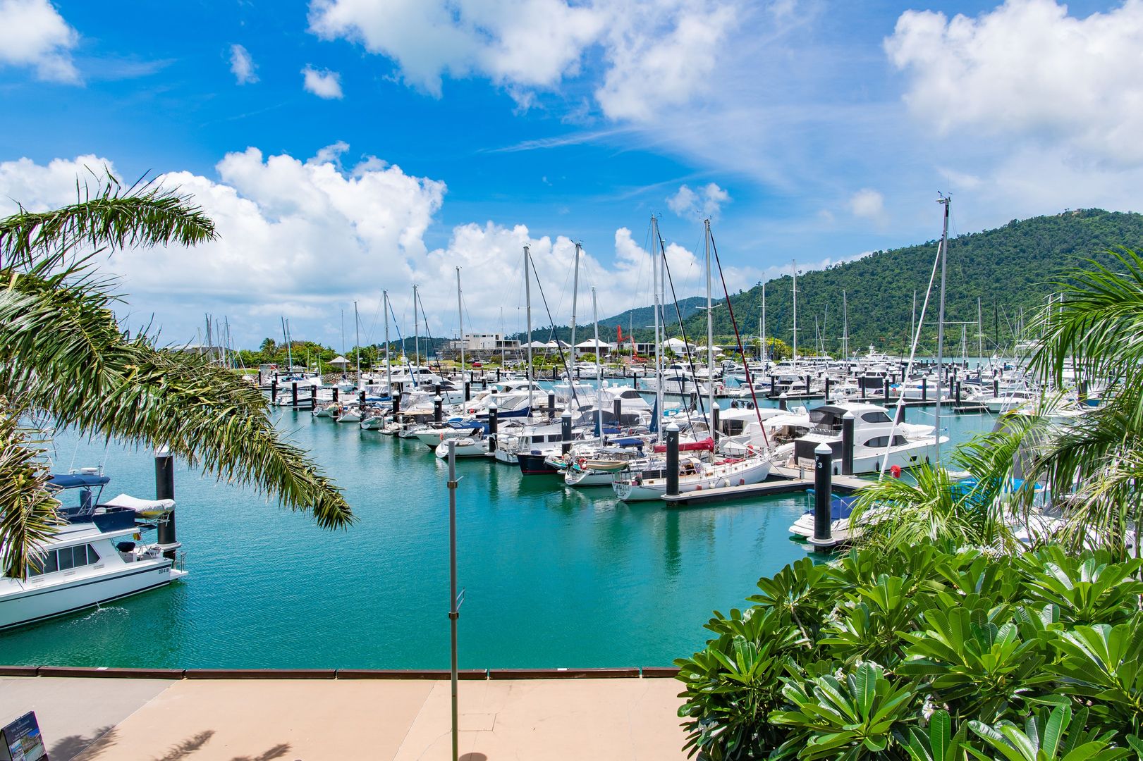 111/33 Port Drive, Airlie Beach QLD 4802, Image 1