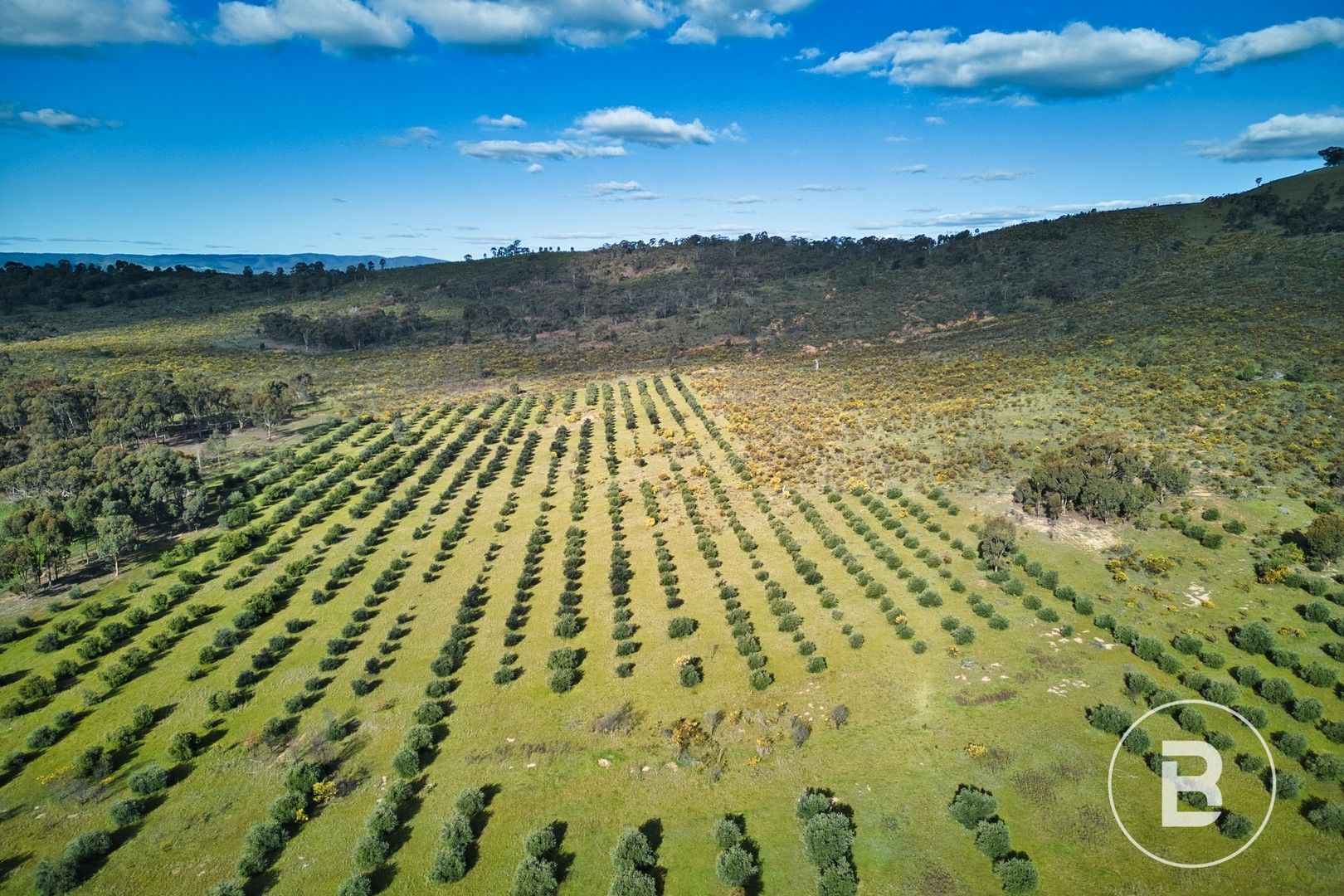3320 Ararat St Arnaud Road, Navarre VIC 3384 Vacant Land for Sale