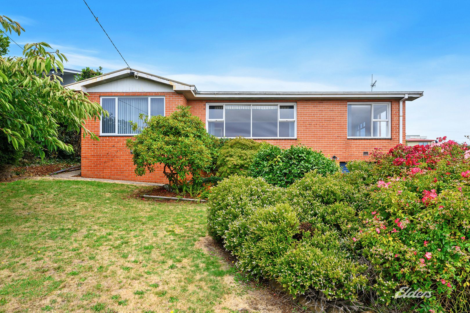 21 Chanel Street, Park Grove TAS 7320, Image 1