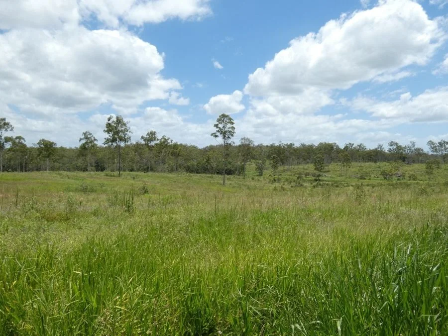 Image 14