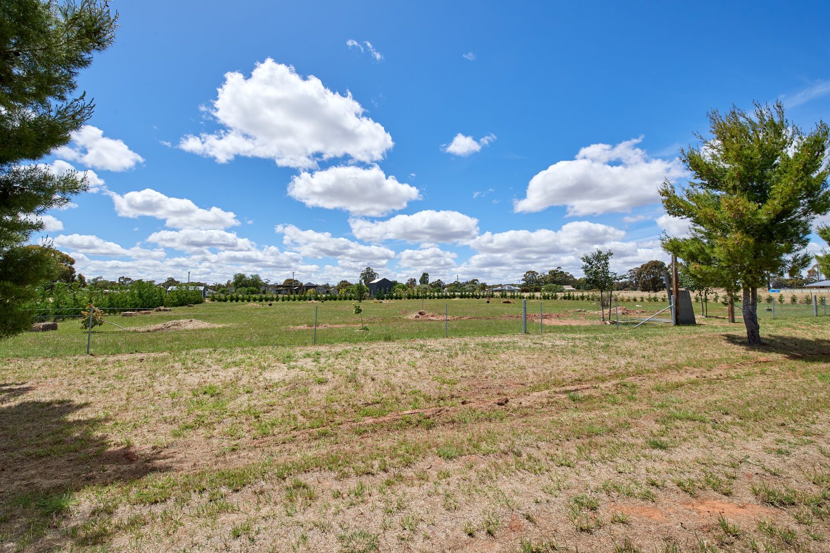 1519 Hall Street, Ganmain NSW 2702 Domain