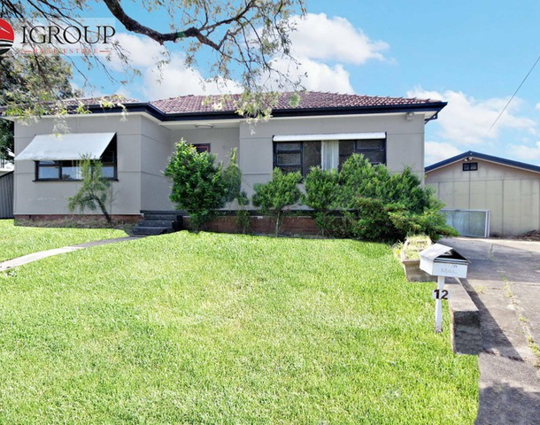 12 Dooley Avenue, Bass Hill NSW 2197