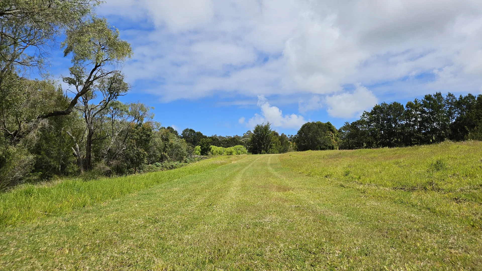 Image 34