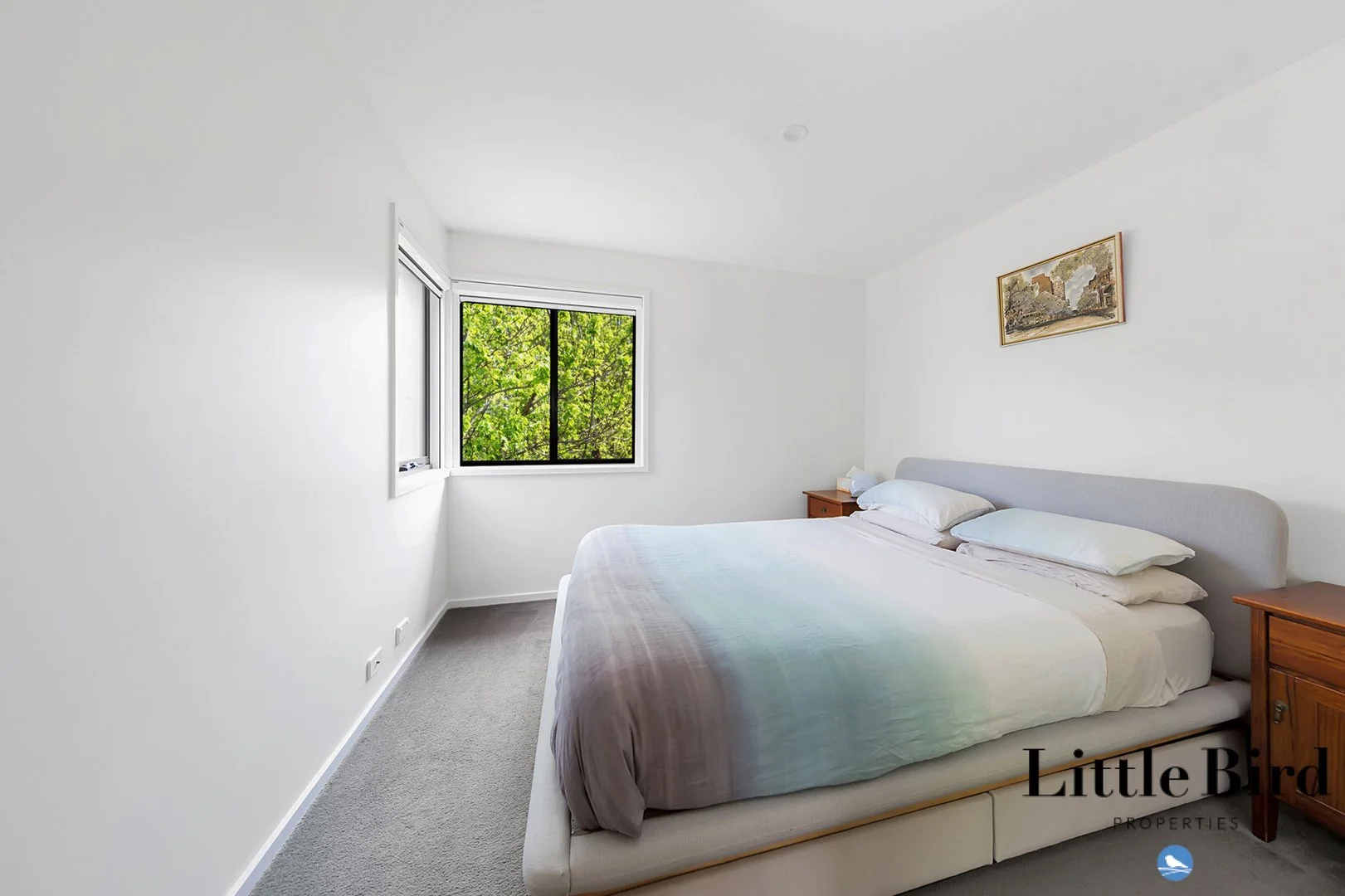 34/39 Jerrabomberra Ave, Narrabundah ACT 2604 - Apartment For Rent | Domain