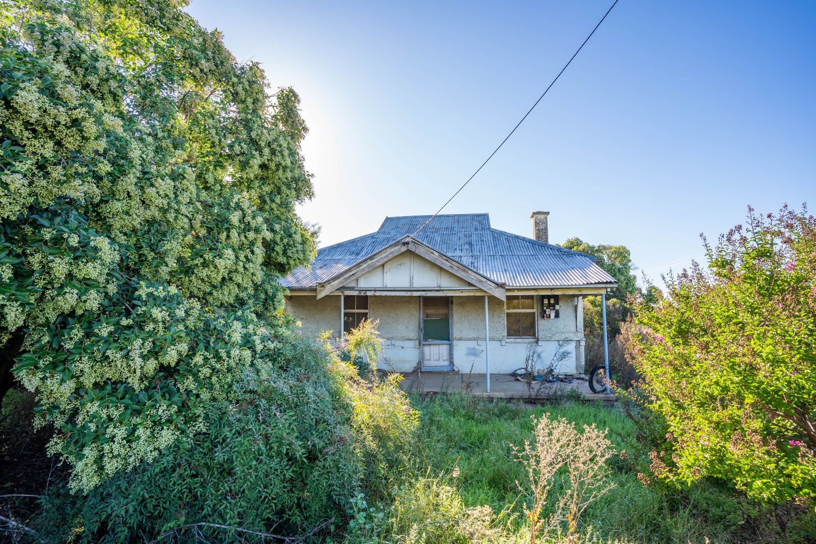 70 Rodd Street, Canowindra NSW 2804, Image 1