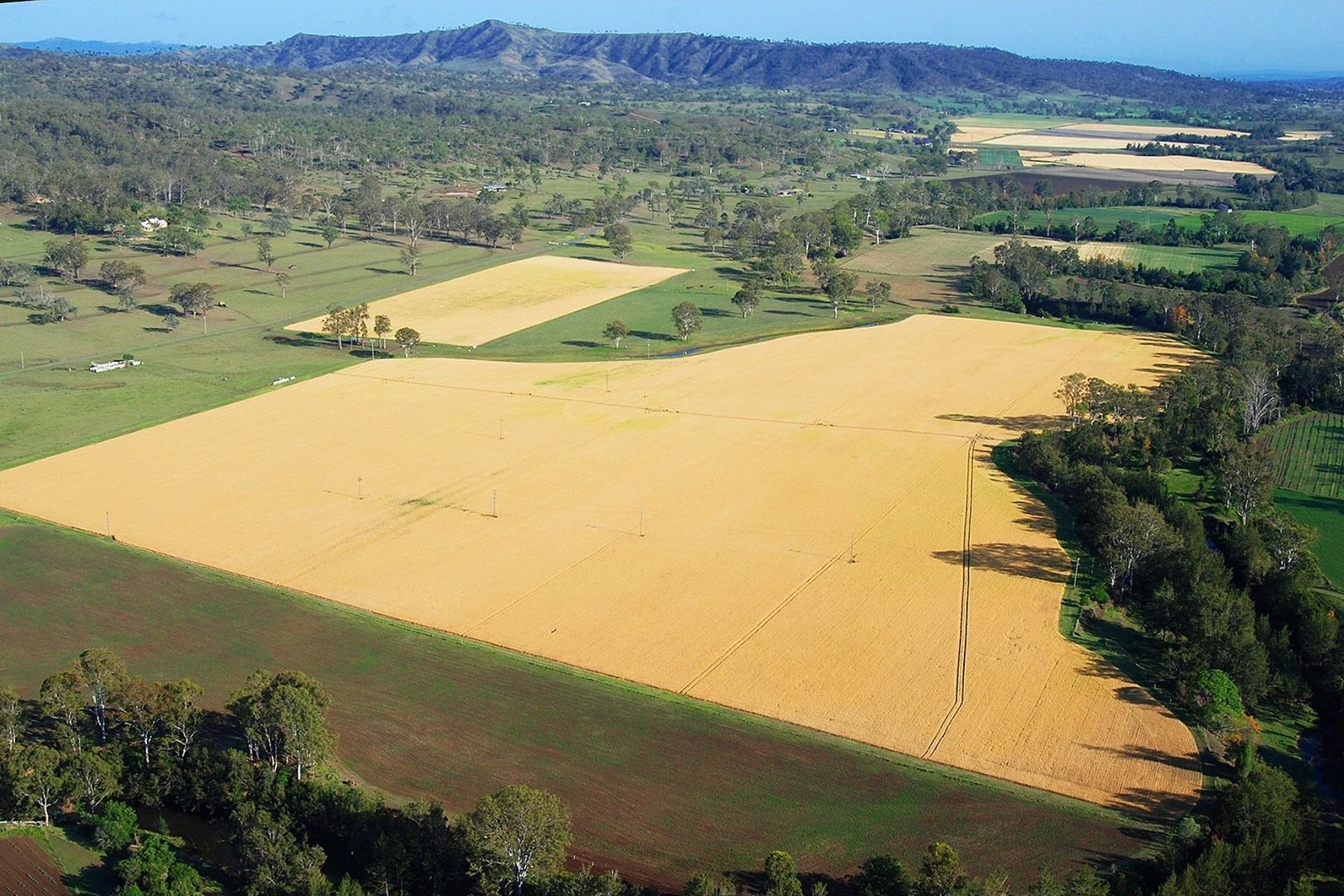 210 Kerry West Road, Kerry QLD 4285 House for Sale 4,200,000