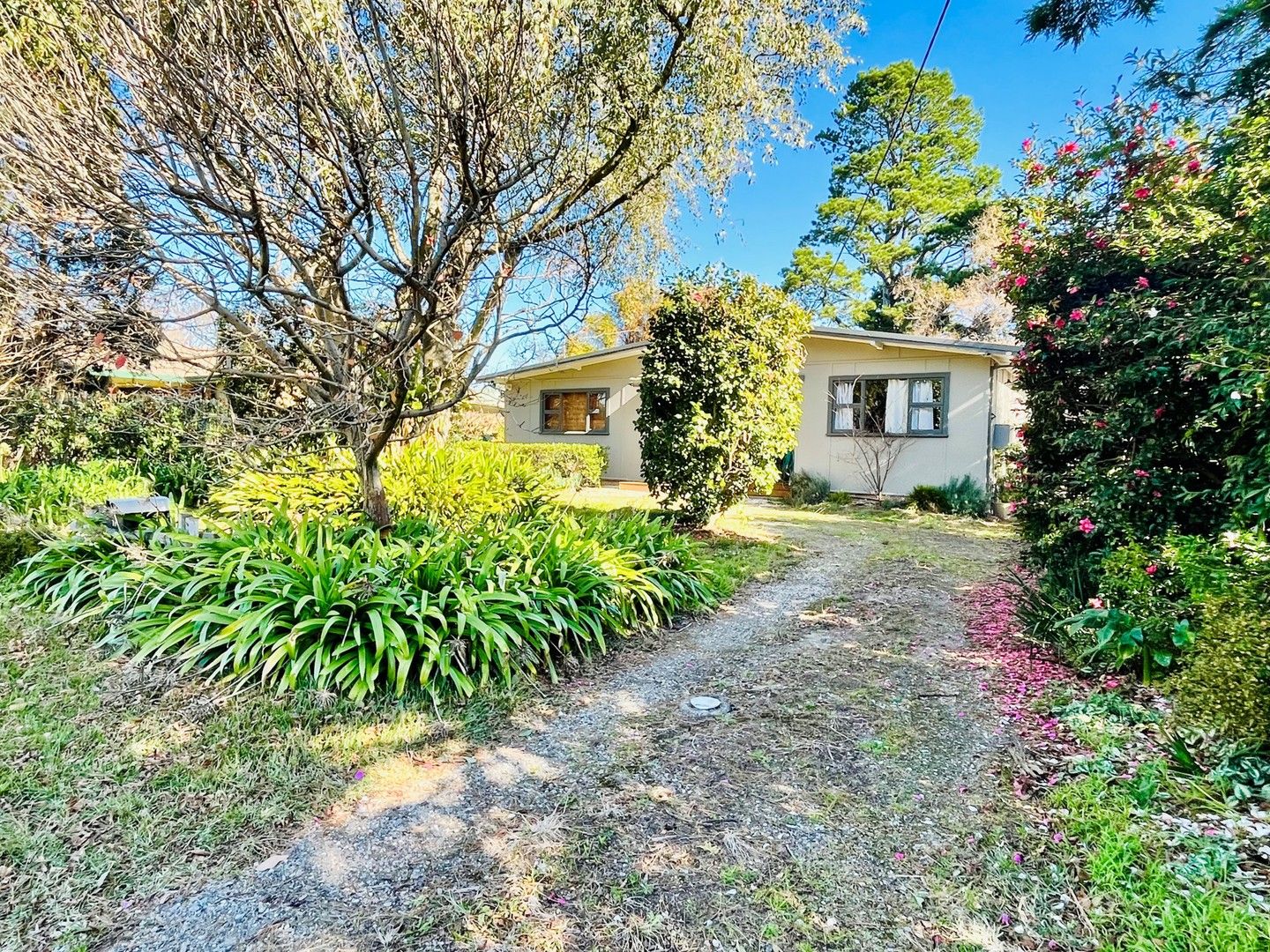 11 Oakura Avenue, Woodford NSW 2778 House For Rent Domain