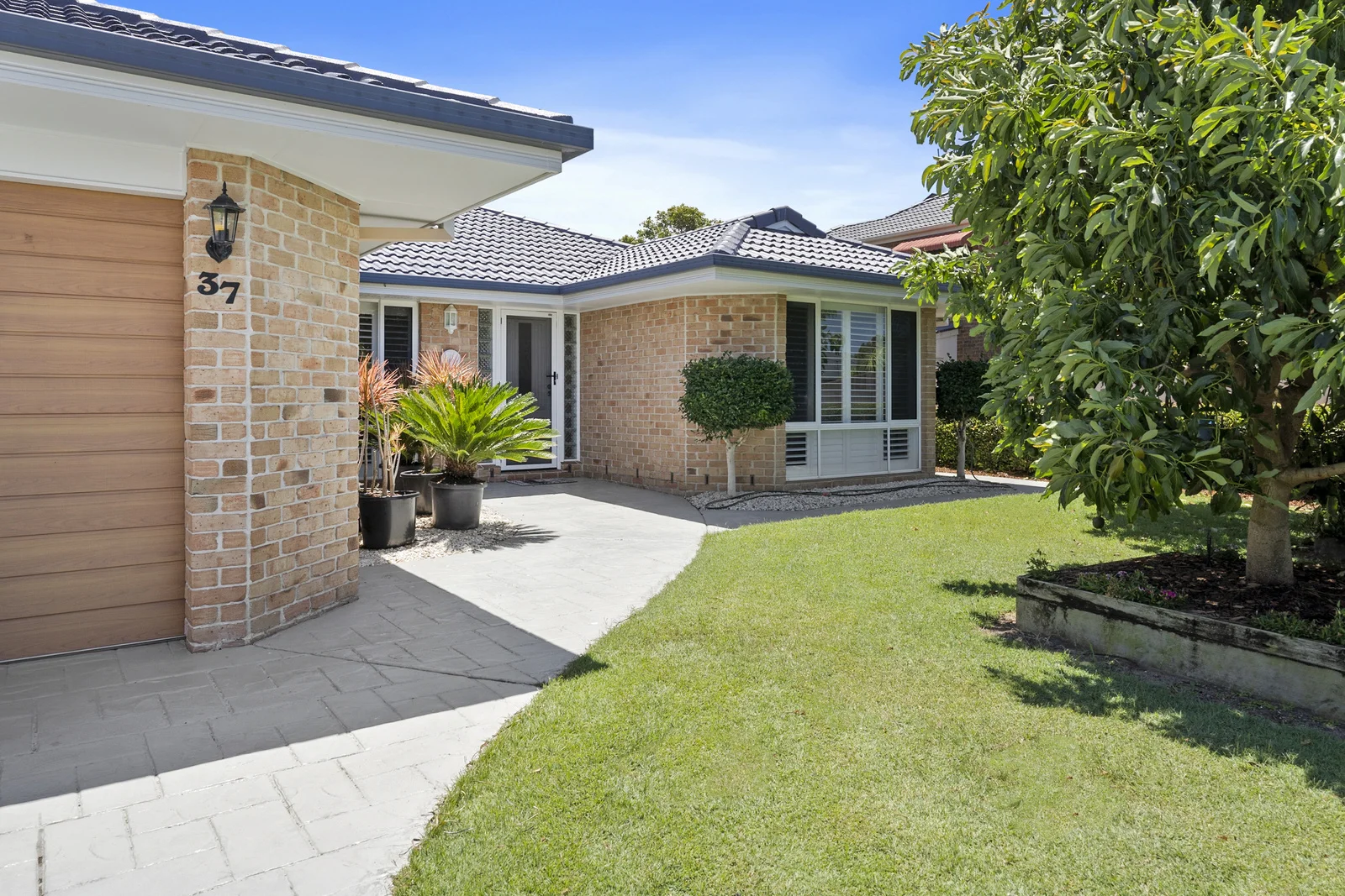 Image 5