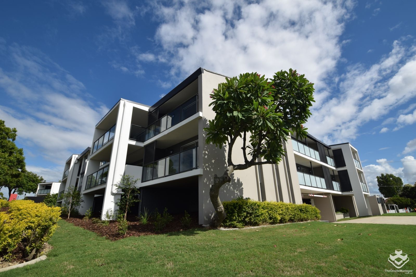 1 bedrooms Apartment / Unit / Flat in ID:21138485/6 Southerden Avenue GRANGE QLD, 4051