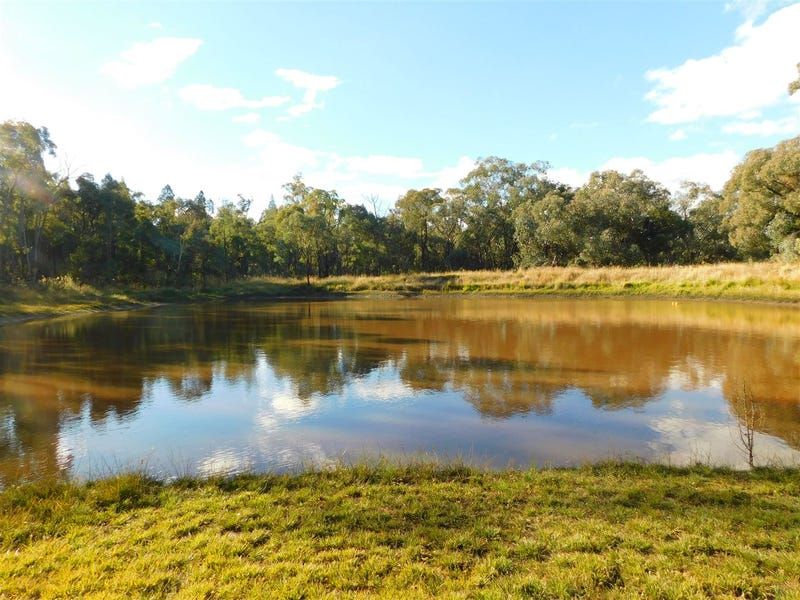 "Alcheringa" 8695 Newell Highway, Coonabarabran NSW 2357, Image 1