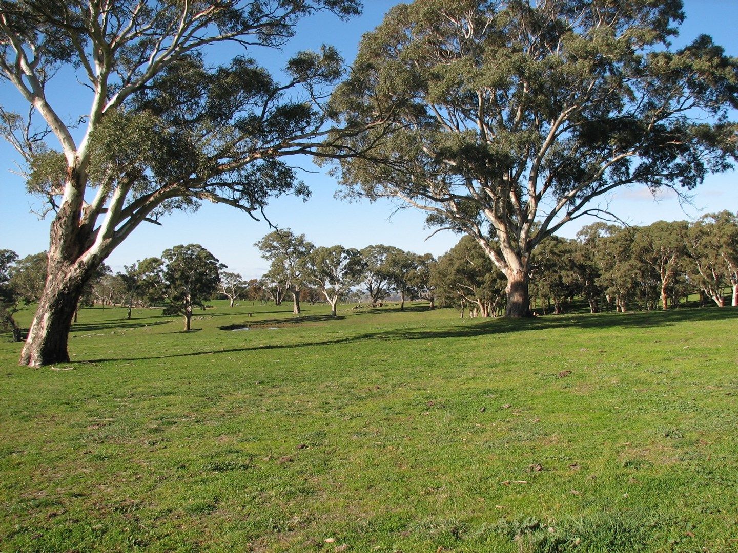 Lot 6409 Sheoak Hill Road, Mount Torrens SA 5244, Image 0