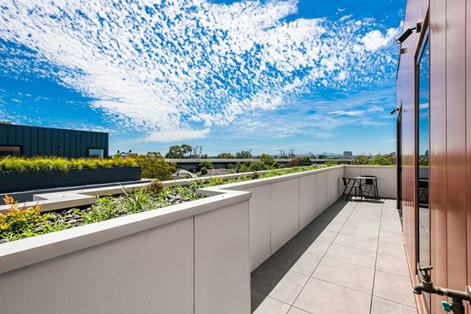 16 3 Bedroom Apartments For Sale In Caulfield South Vic 3162 Domain