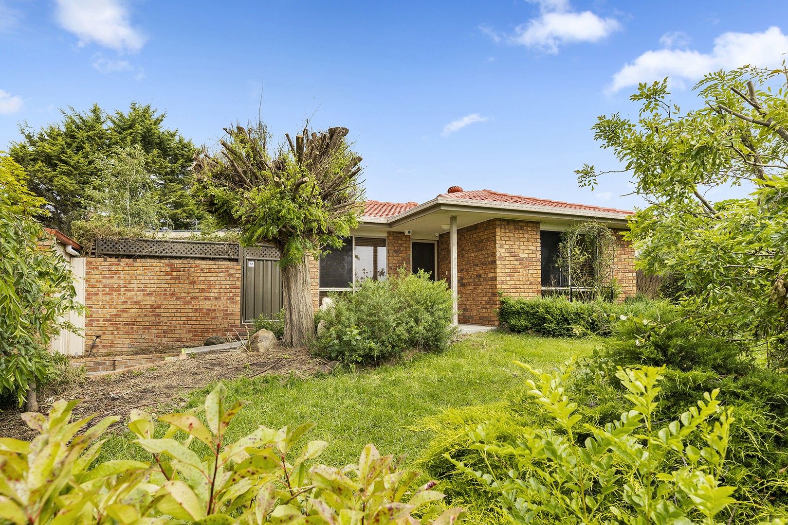 3 bedrooms House in 45 Ina Gregory Circuit CONDER ACT, 2906