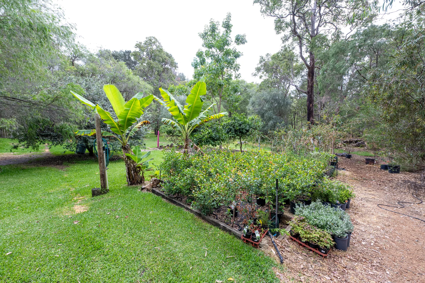 Additional image 19 of 35 Frances Road, Gelorup WA 6230