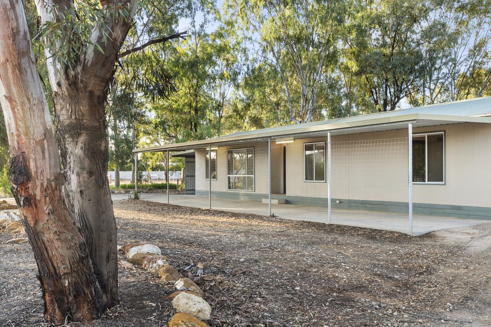 163 Twentysixth Street, Renmark SA 5341, Image 0