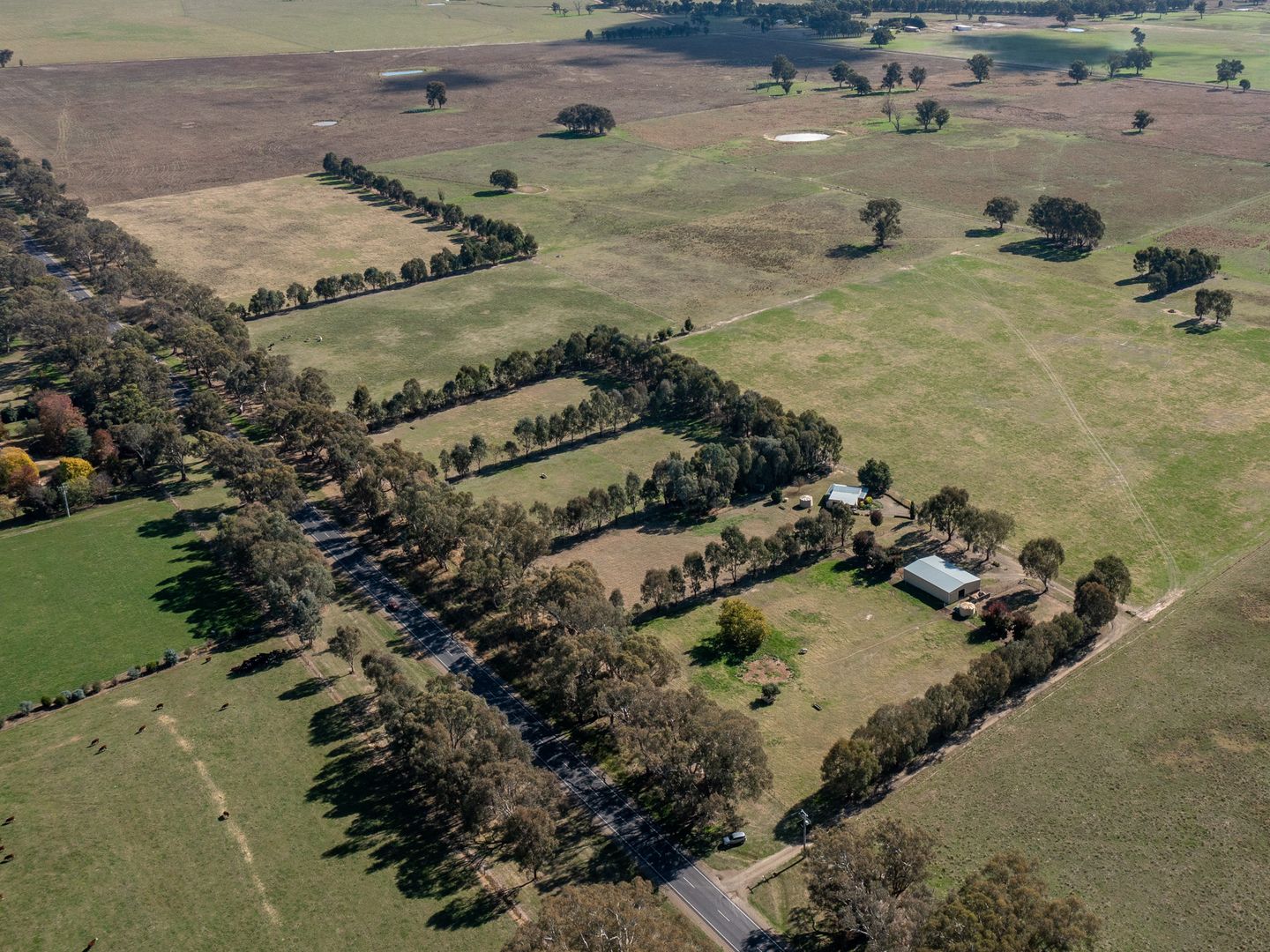 893 Great Alpine Road, Tarrawingee VIC 3678, Image 2