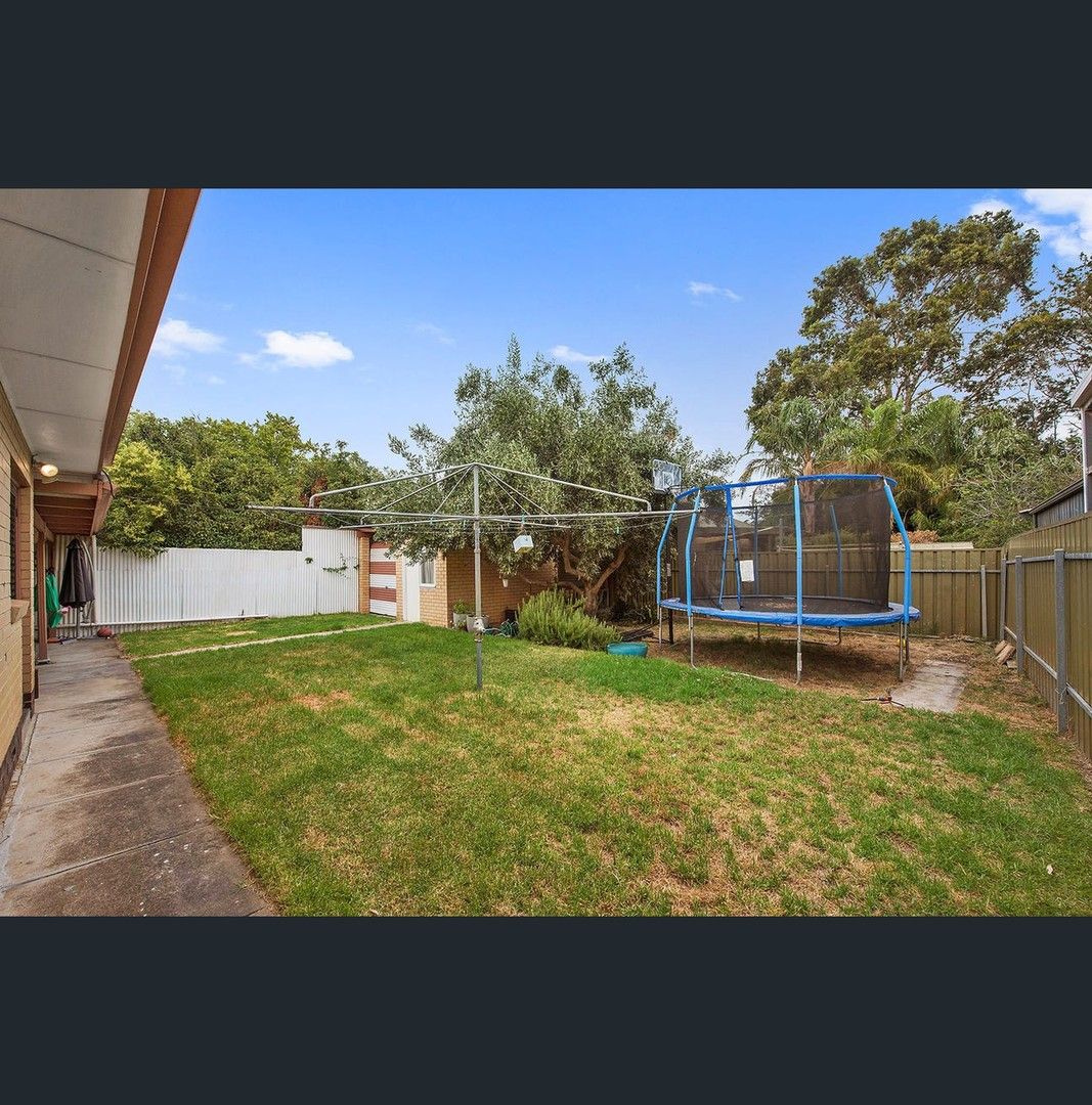 64 Essex St South, Goodwood SA 5034, Image 0