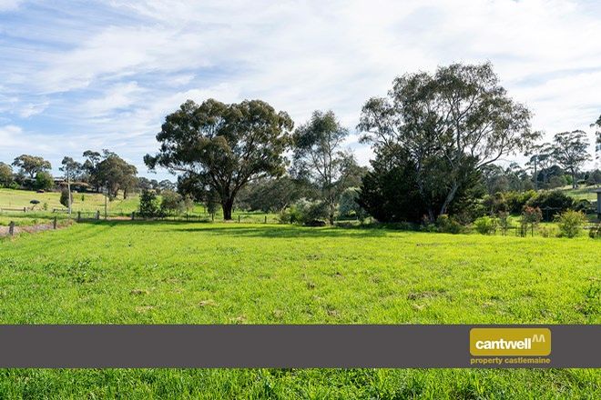 Picture of 18 Chapmans Road, CASTLEMAINE VIC 3450