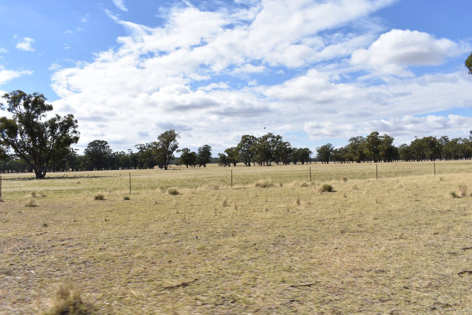 987 Boorr Hill Road, Bruie Plains NSW 2875, Image 0