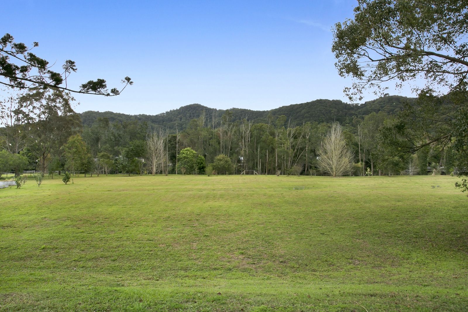 966 Tallebudgera Creek Road, Tallebudgera Valley QLD 4228, Image 1