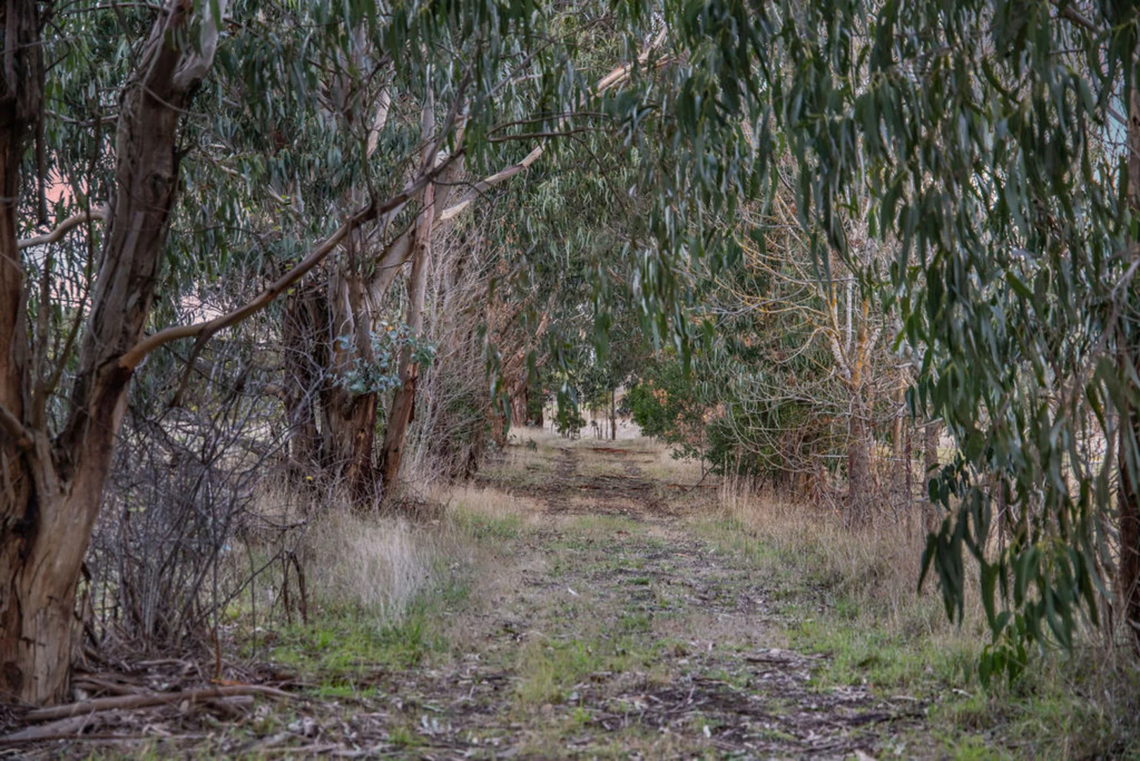 Image 10