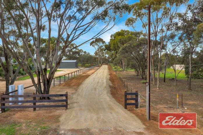 30B Ronda Avenue, Roseworthy SA 5371, Image 2