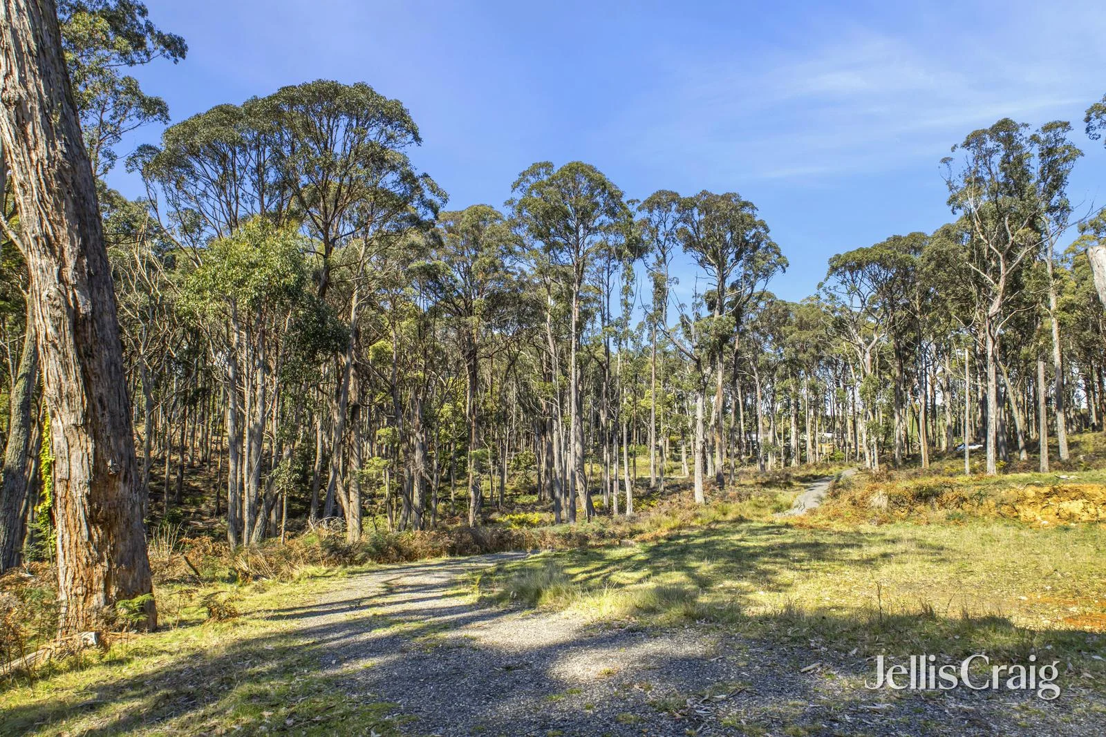 Additional image 5 of 100 Fern Road, Little Hampton VIC 3458