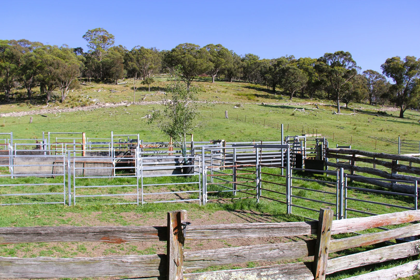 Additional image 6 of 1929 New England Highway, Dundee NSW 2370