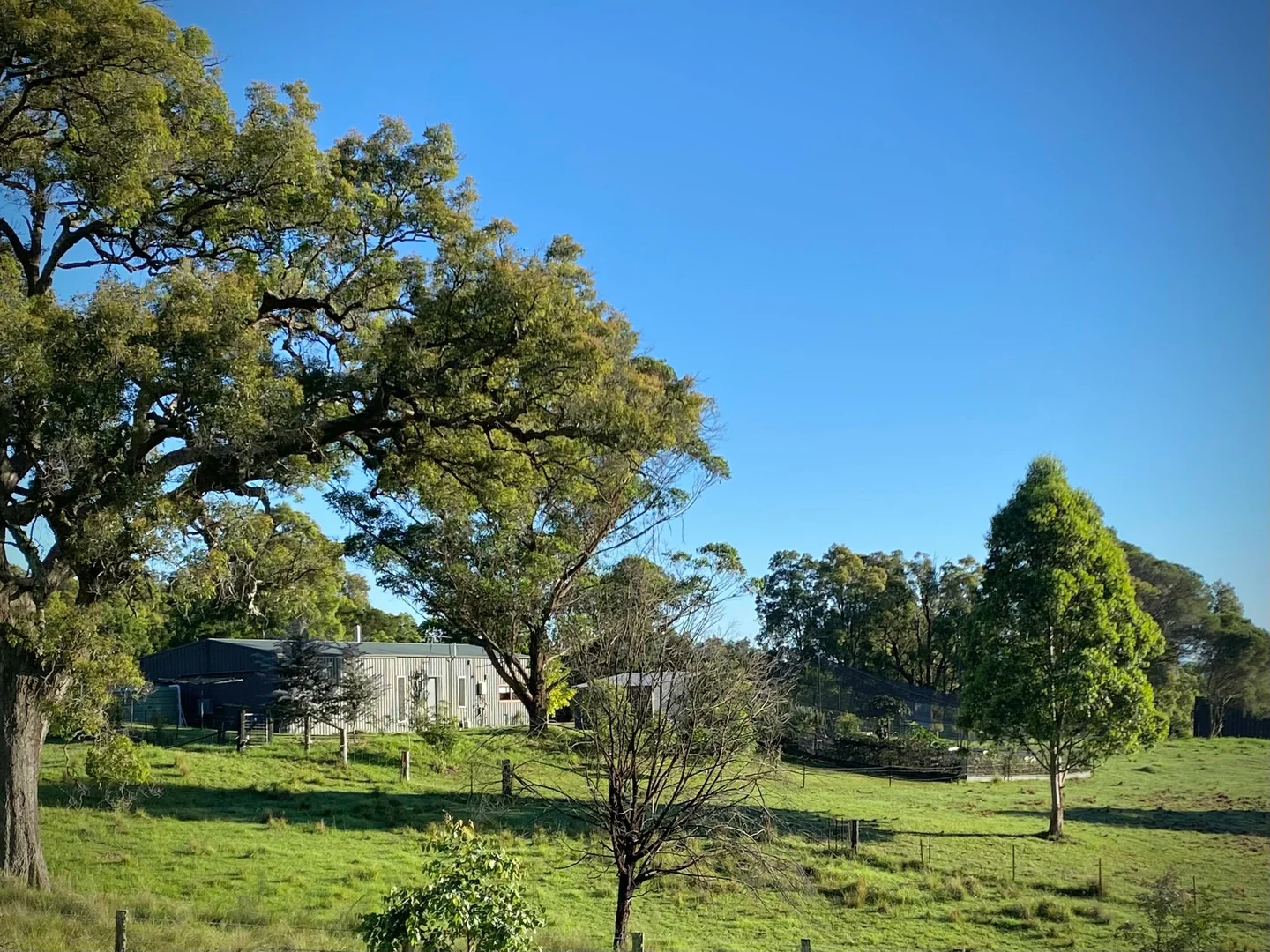 Additional image 3 of 94 Israels Road, Verona NSW 2550