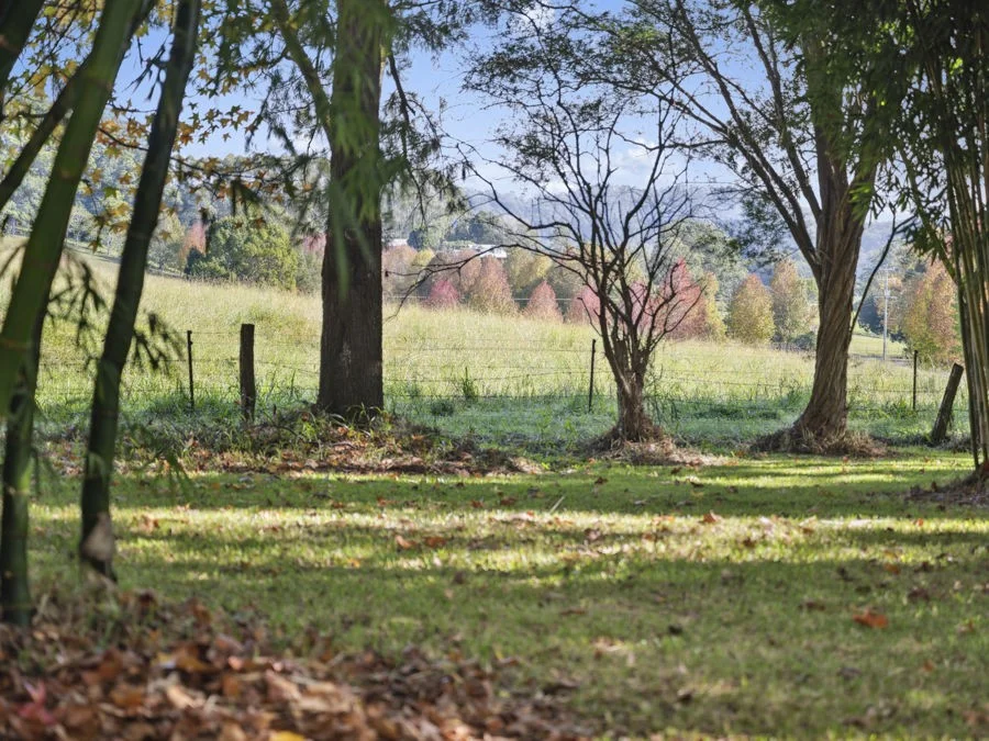 Additional image 17 of 210 Fridays Creek Road, Upper Orara NSW 2450