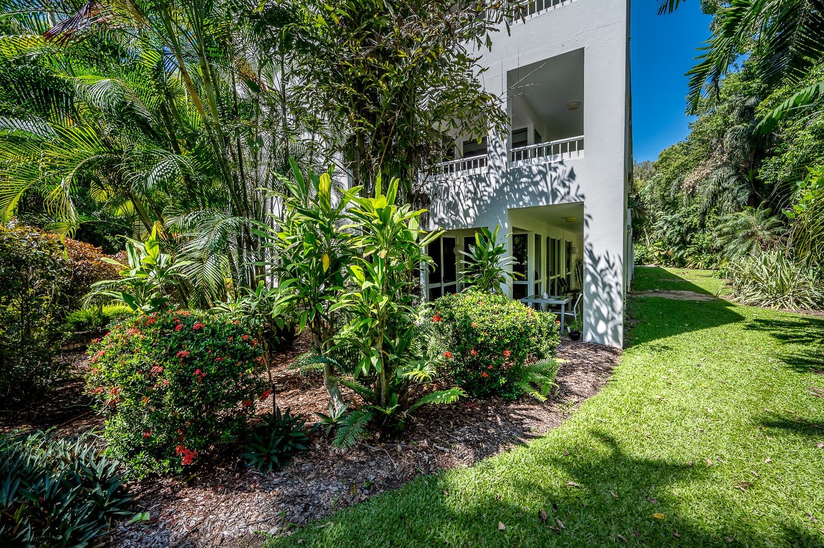 211/305-341 Coral Coast Drive, Palm Cove QLD 4879, Image 0