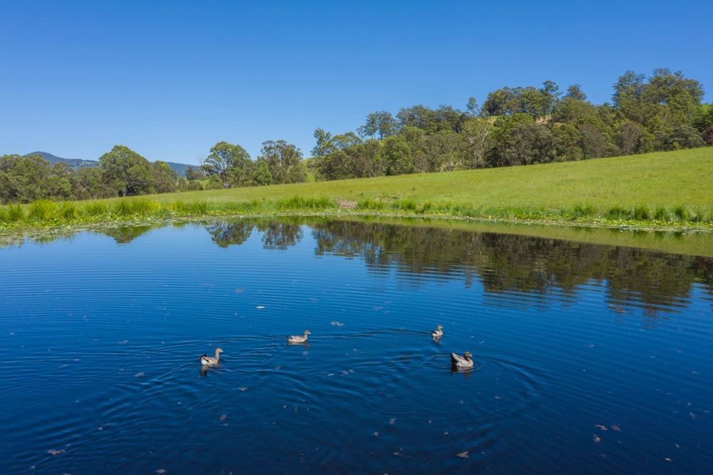 25 JONES ROAD, Byabarra NSW 2446 Vacant Land for Sale 799,000