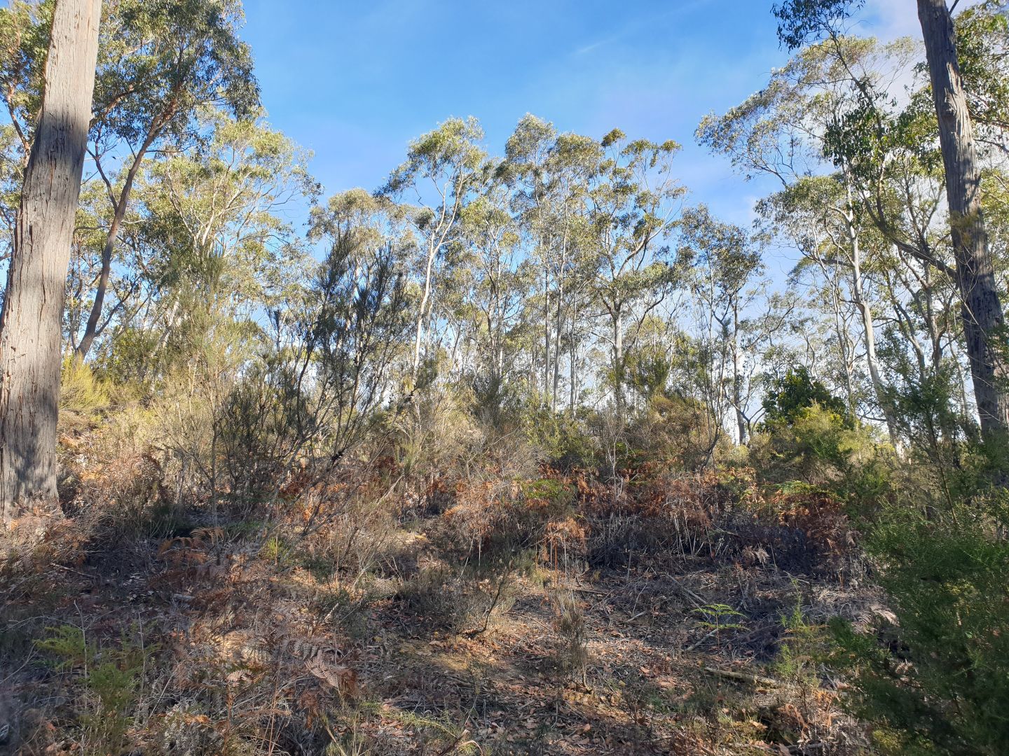 lot-2-brittains-road-garden-island-creek-tas-7112-domain