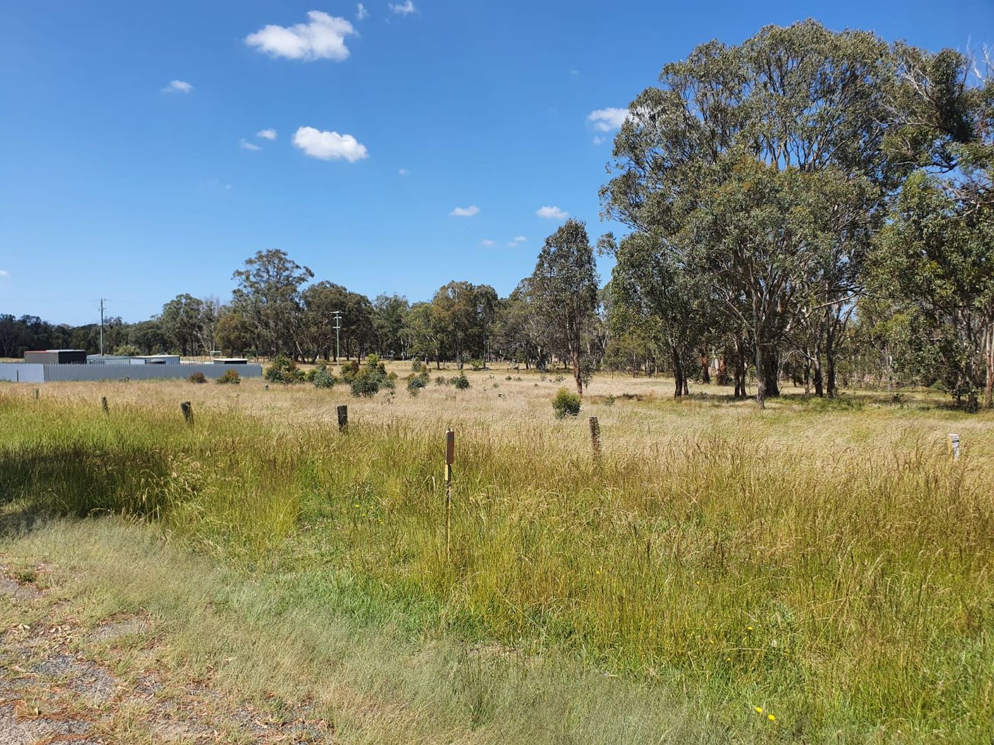 Lot 190 Torrington Street, Stannum NSW 2371, Image 1