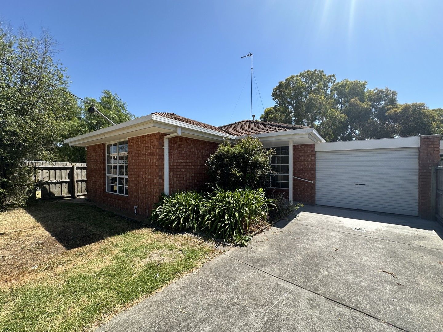 1/8 Galaxy Court, Whittington VIC 3219 Apartment For Rent Domain