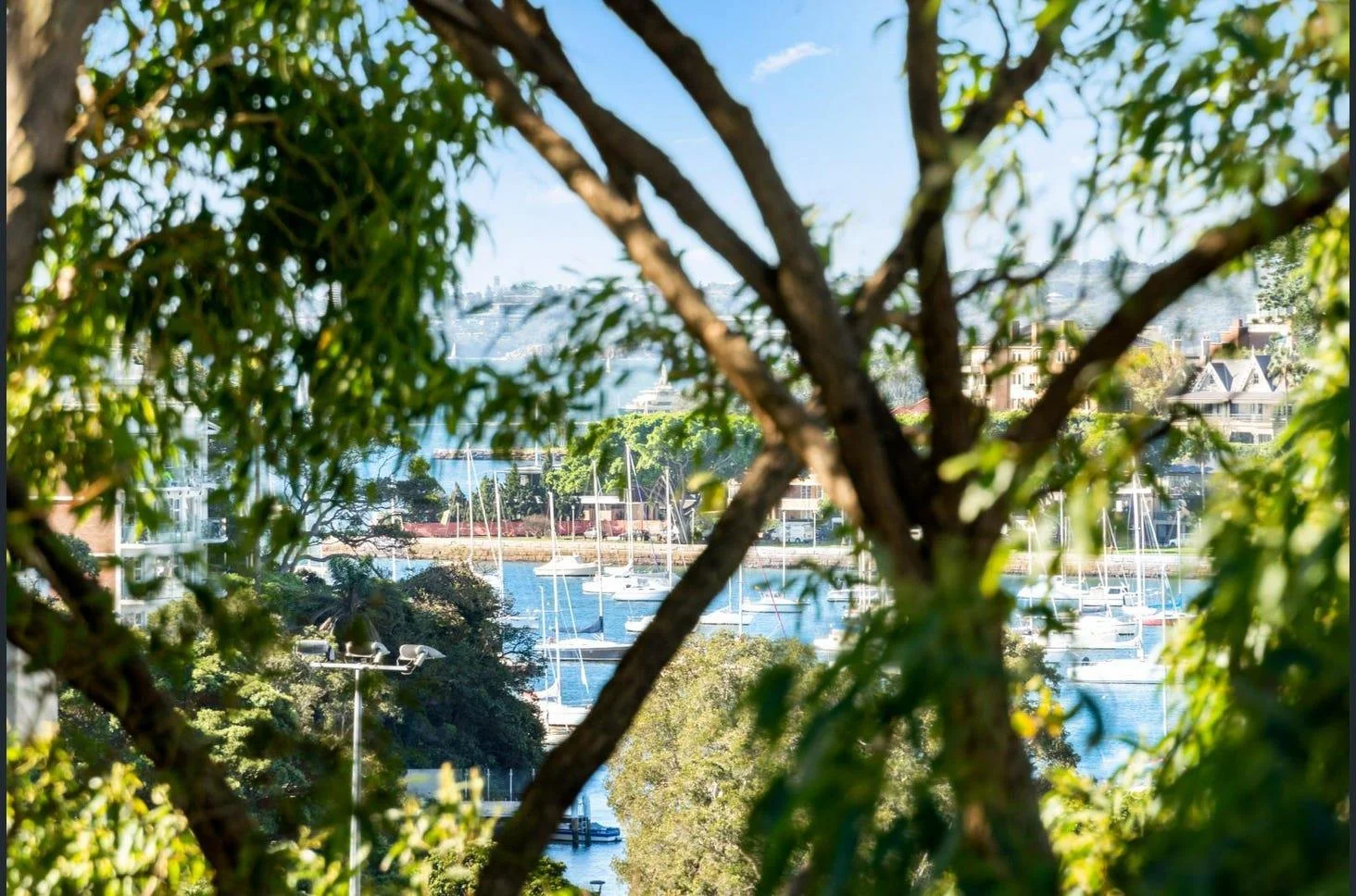 Additional image 11 of 24/33 Waratah Street, Rushcutters Bay NSW 2011