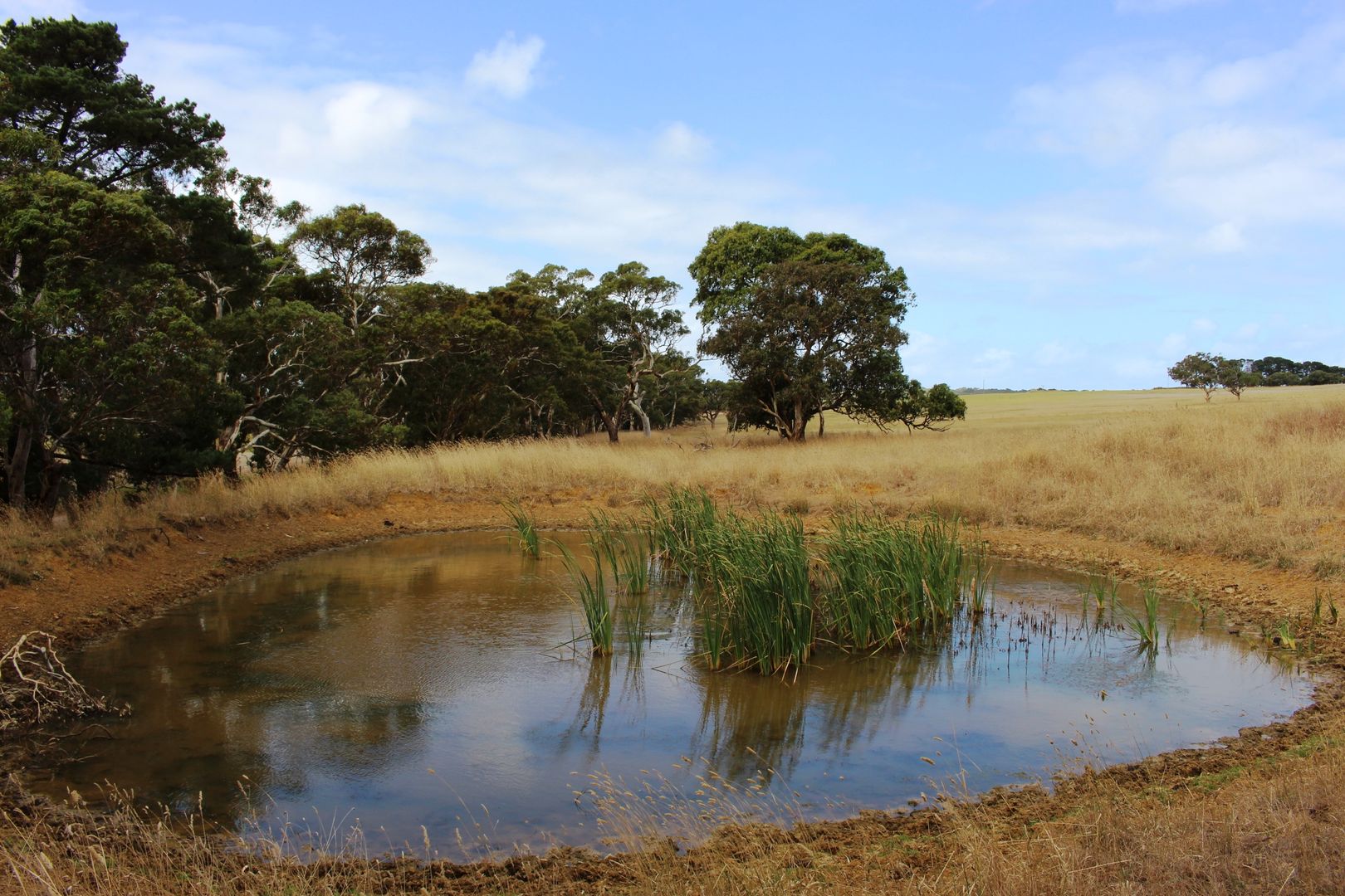 A103 Tugwell Road, Waitpinga SA 5211, Image 2