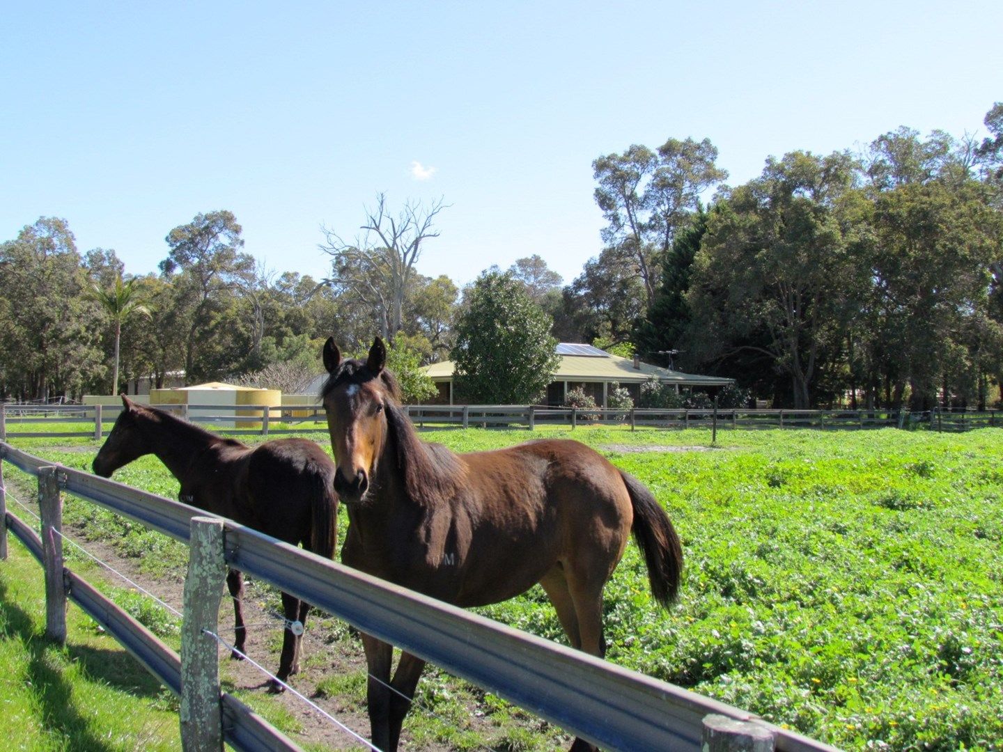 Boyanup WA 6237, Image 0