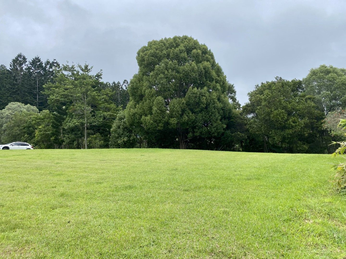 Vacant land in 4 Booneen Burrow, CURRUMBIN VALLEY QLD, 4223