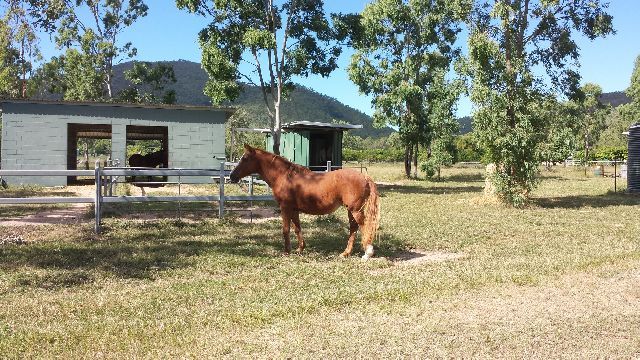 14 Hancock Road, Alligator Creek QLD 4816, Image 0