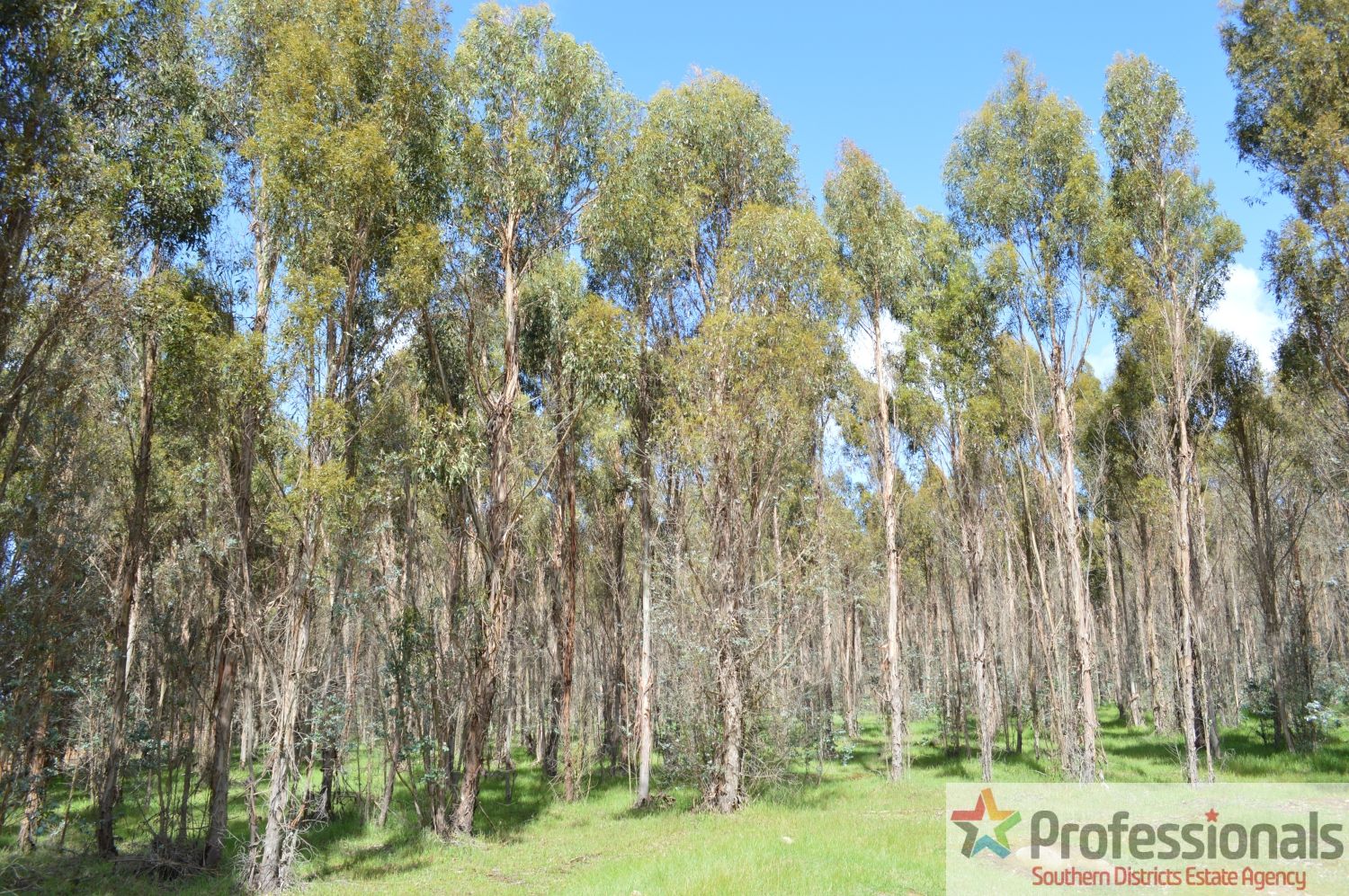 Lot 1 Muir Rd, Mayanup WA 6244, Image 2