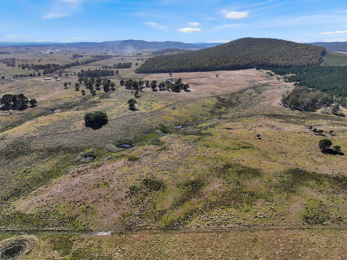 612 Lower Bendoc Road, Bendoc VIC 3888, Image 2