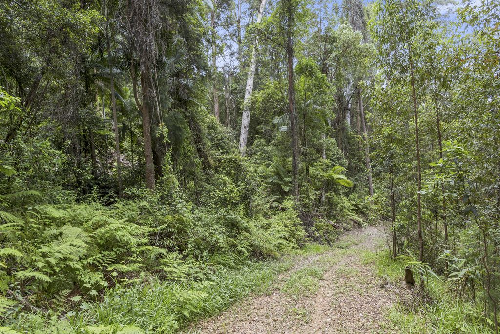 Lot 5 Booka Road, Upper Crystal Creek NSW 2484, Image 2