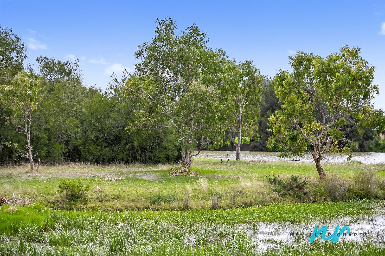 5/51 Ward Street, St Leonards VIC 3223, Image 0