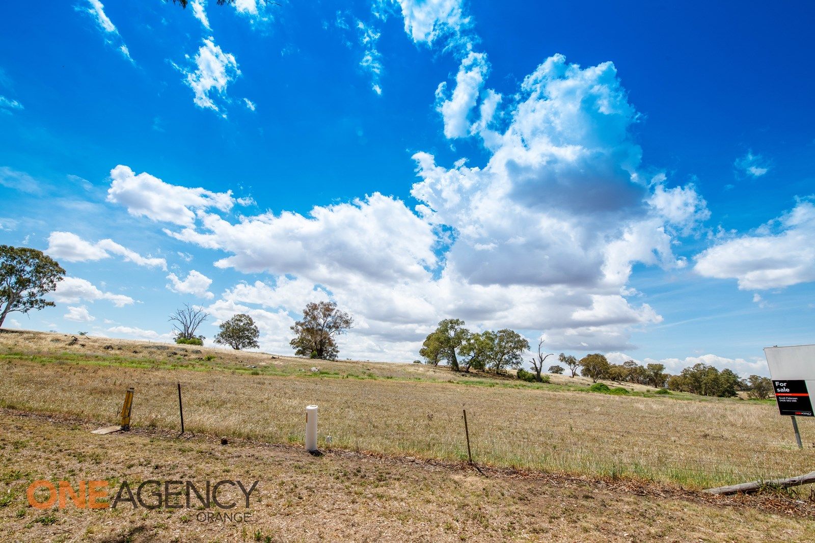 33 Rodda Drive, Cudal NSW 2864, Image 2