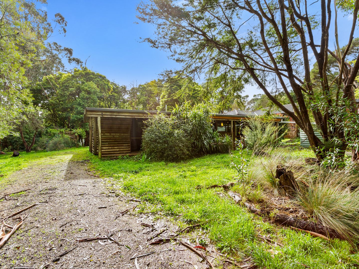 16 Frederick Street, Red Hill VIC 3937, Image 1