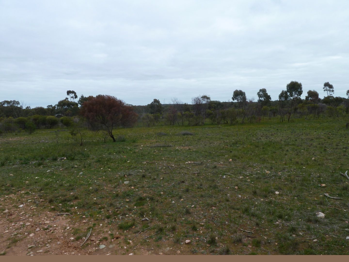 Lot 6 Boort-Wedderburn Road, Wedderburn VIC 3518, Image 2