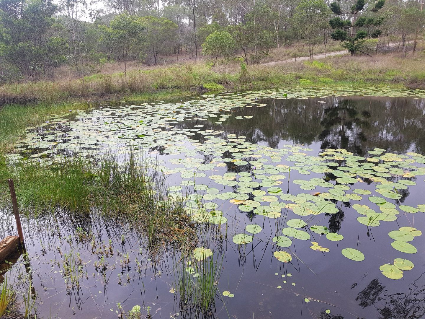 83 Thiels Road, Dalysford QLD 4671, Image 2