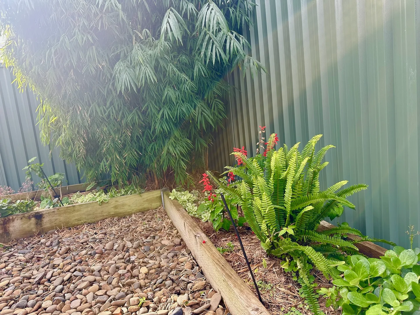 Image 21