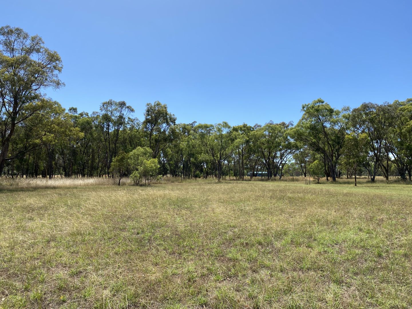 Coolah NSW 2843, Image 2